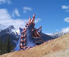Rocky Mountain Dragons: JasperBigBlue2
