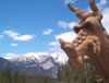 Rocky Mountain Dragons: JasperBigNaturalHead